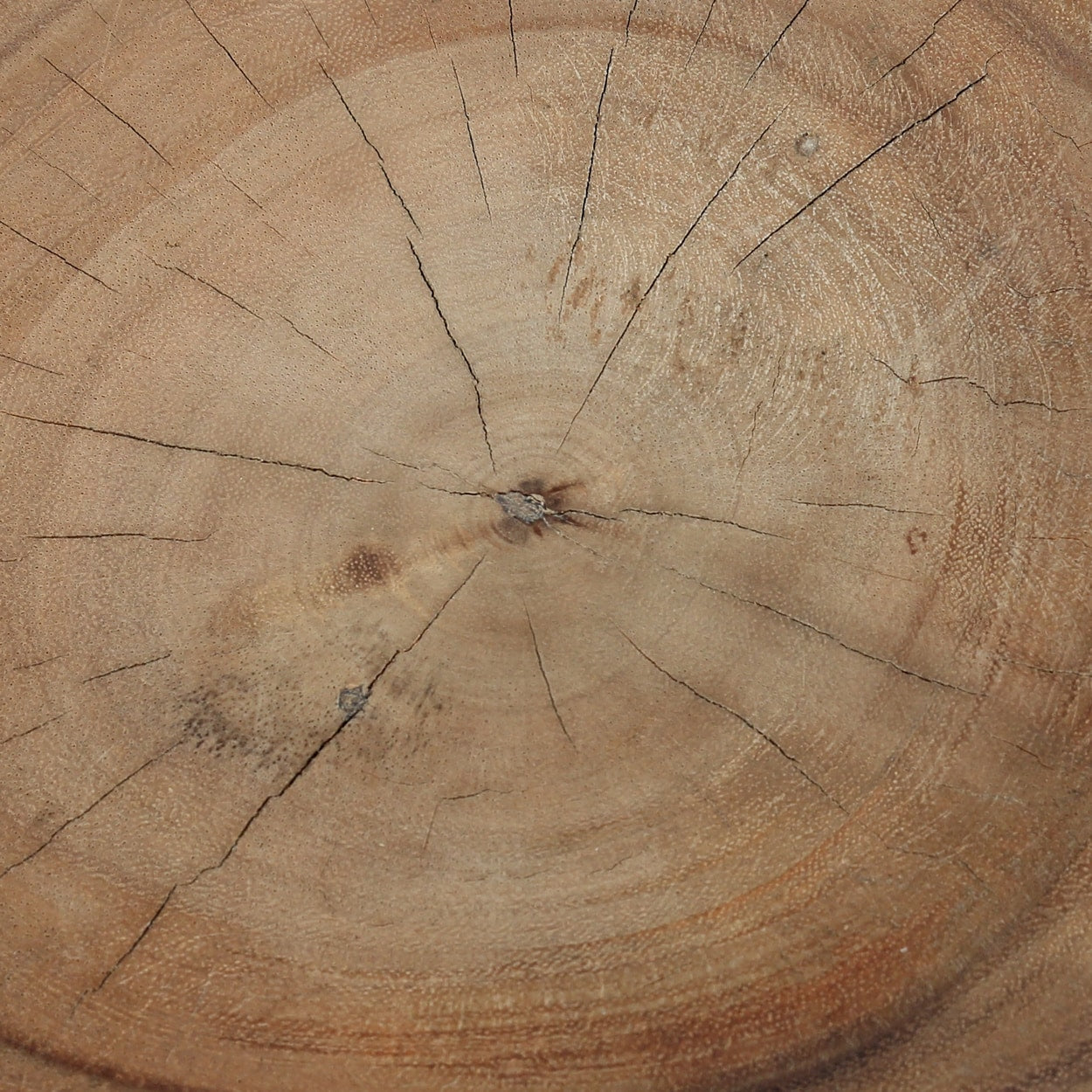 Detail Risse Holz Hocker