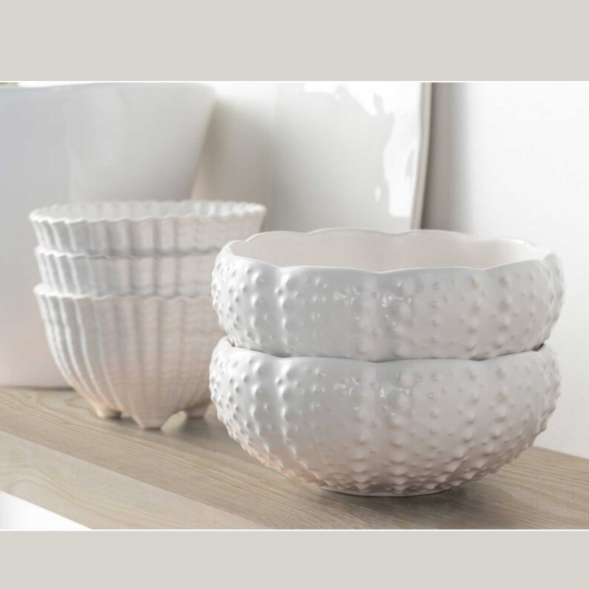 Weiße Seeigel Schale 6er Set