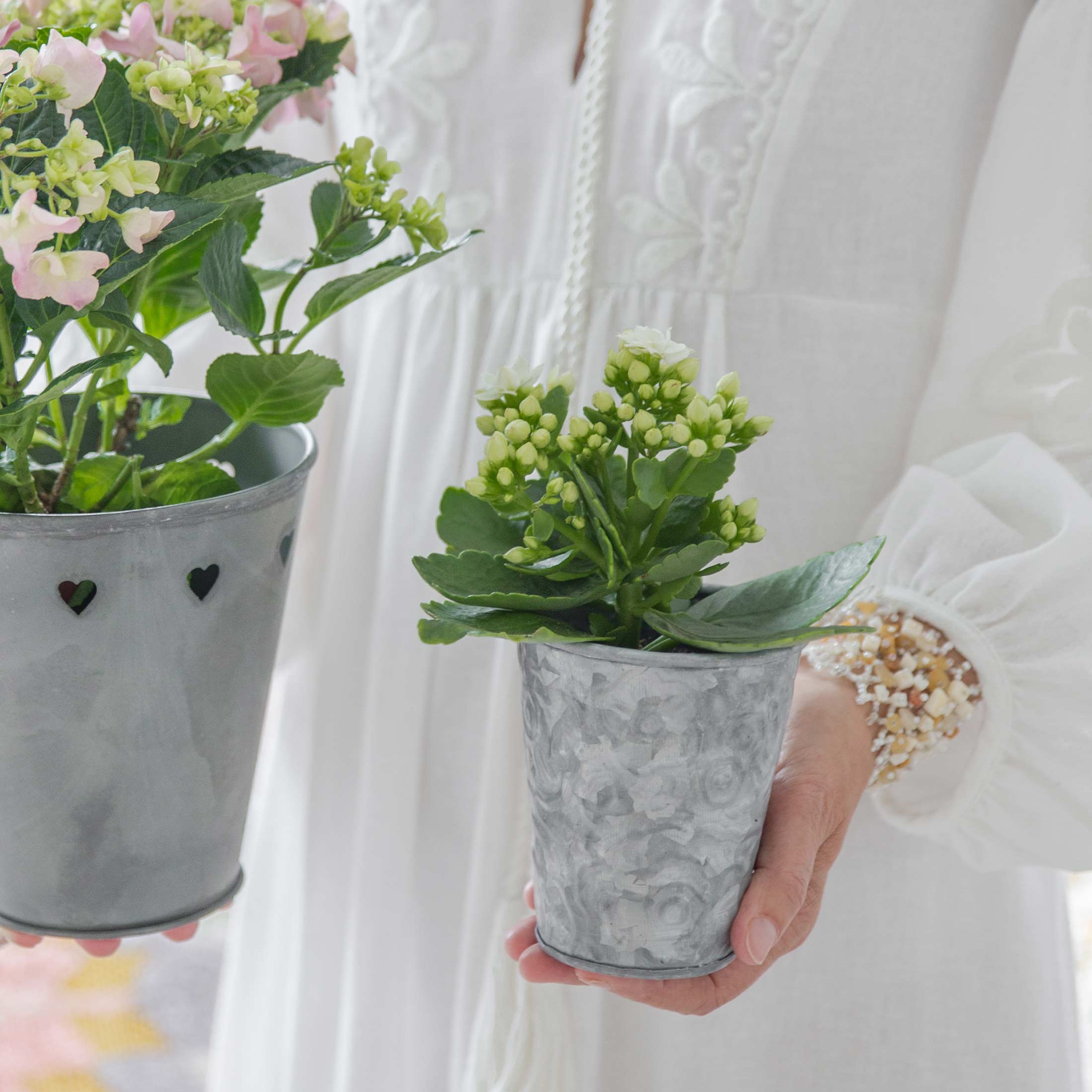Blumentopf aus Blech mit einer romantischen Gravur passend für kleine Blumensträuße oder Pflanzen wie Geranien. Blumentopf im Shabby chic jetzt kaufen