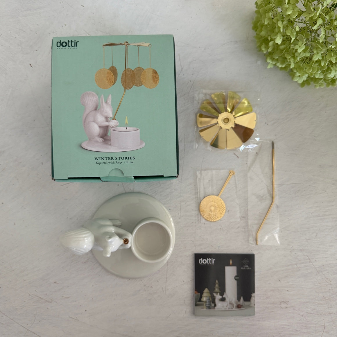 Eichhörnchen Geschenk verpackung dottir