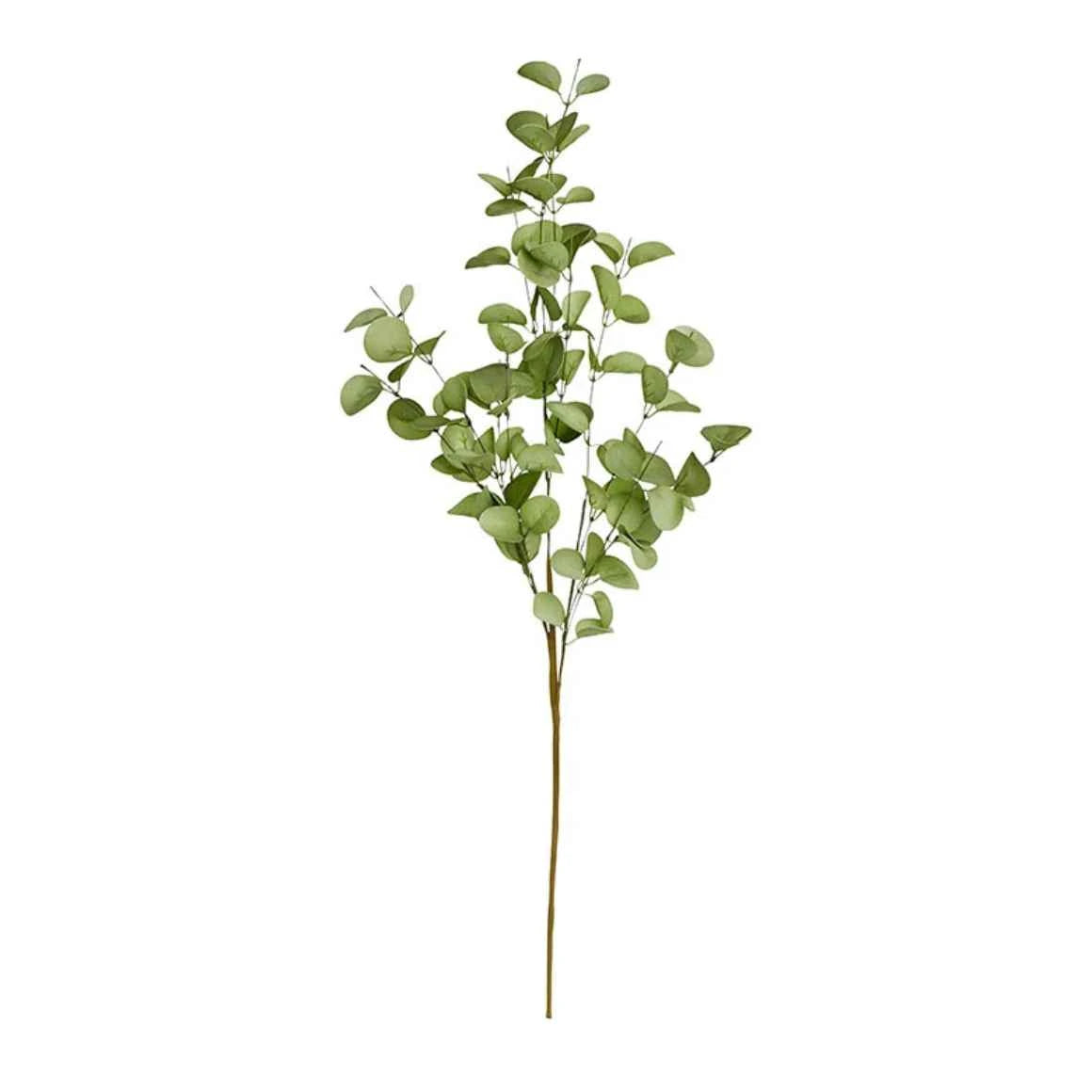 Grüner Eukalyptus-Zweig mit textilähnlichen Blättern von Bungalow bei Soulbirdee
