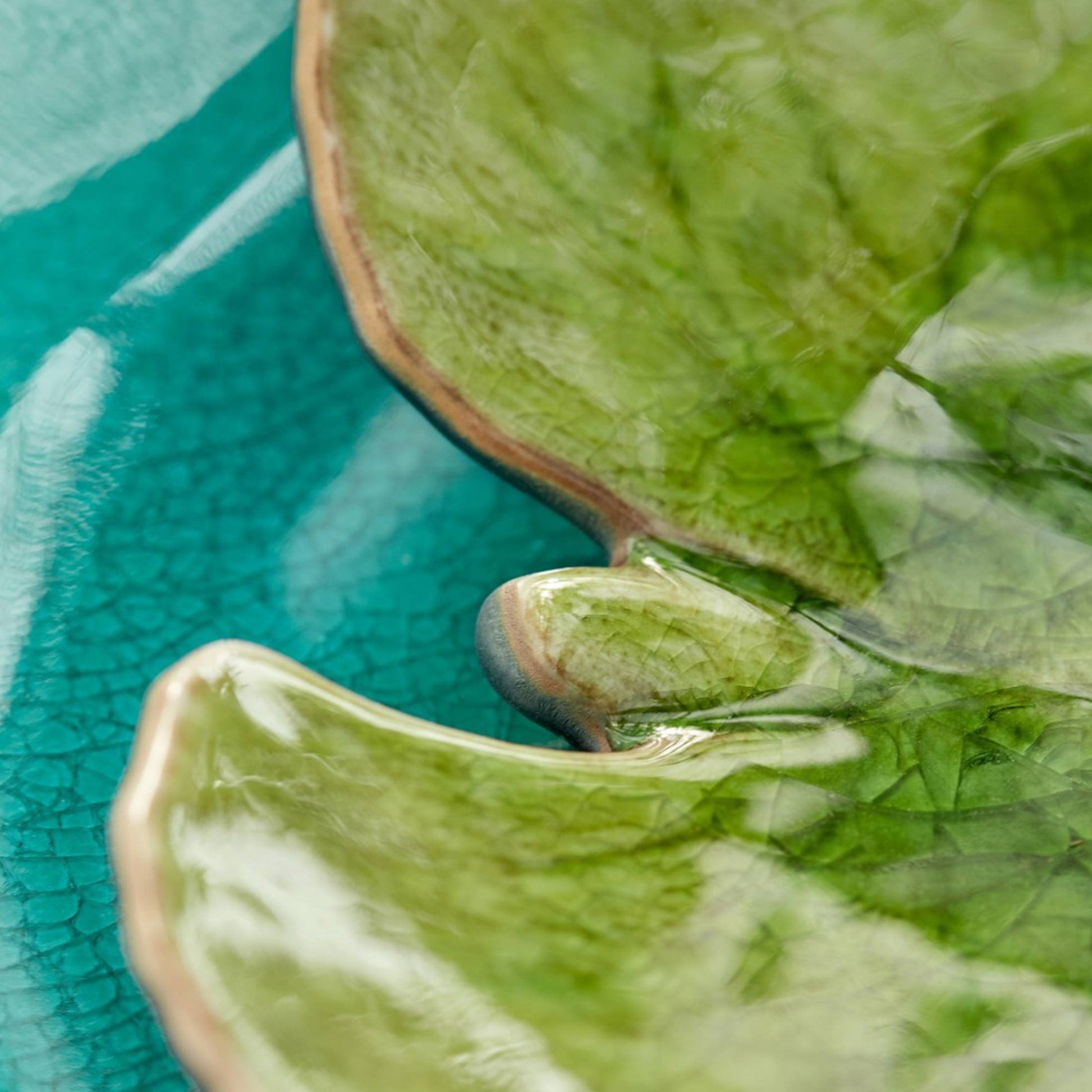 Teller grünes Blatt ALCHEMILLE LEAF spülmaschinenfest von der Marke Costa Nova. Geschirr online kaufen bei Soulbirdee Onlineshop