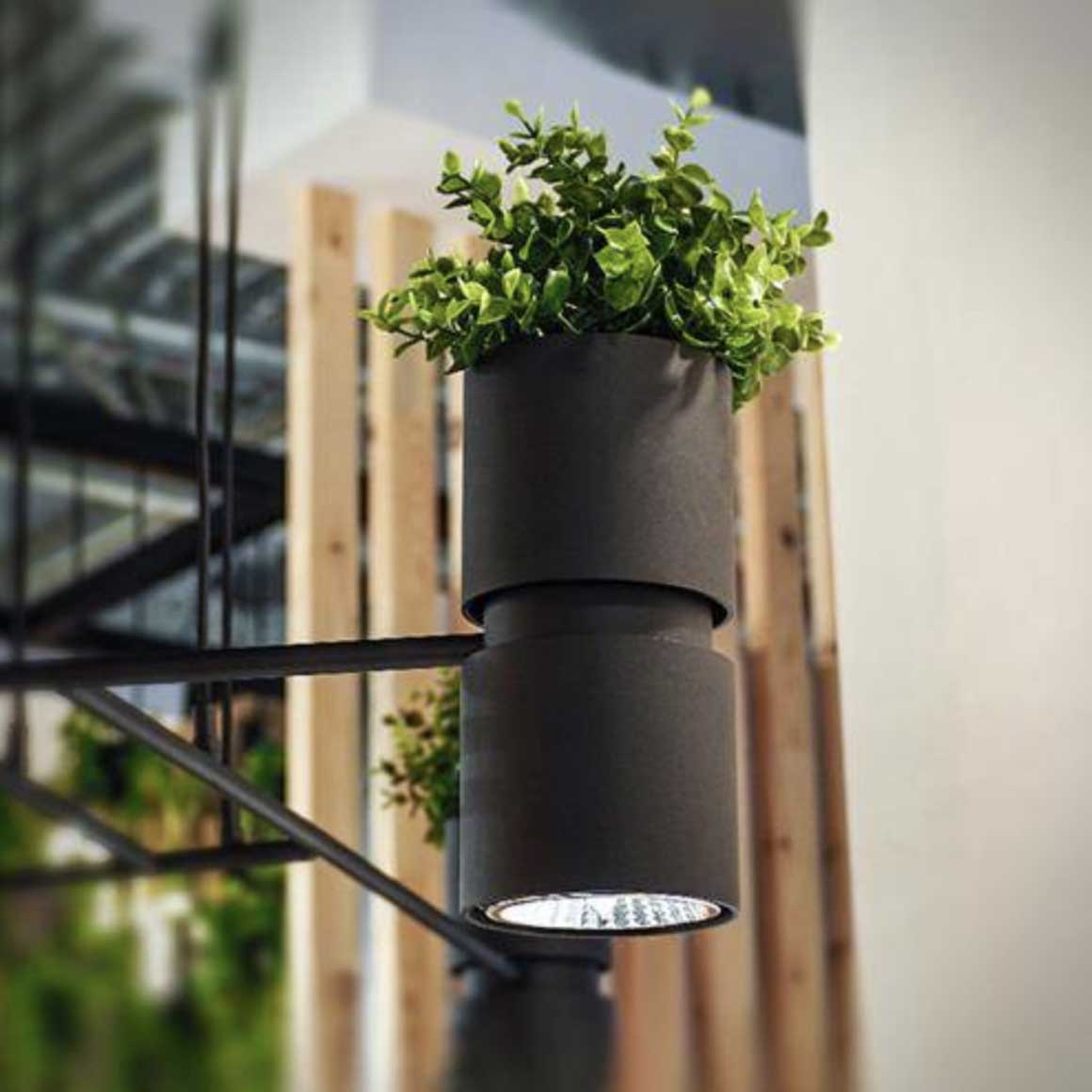 schwarze Wandleuchte für Innen Wandlampe für Wohnzimmer Flur Treppenhaus Wandlampe Schlafzimmer Wandlampe Innen Lampe kaufen Sollux Kukkia Soulbirdee Lampenshop