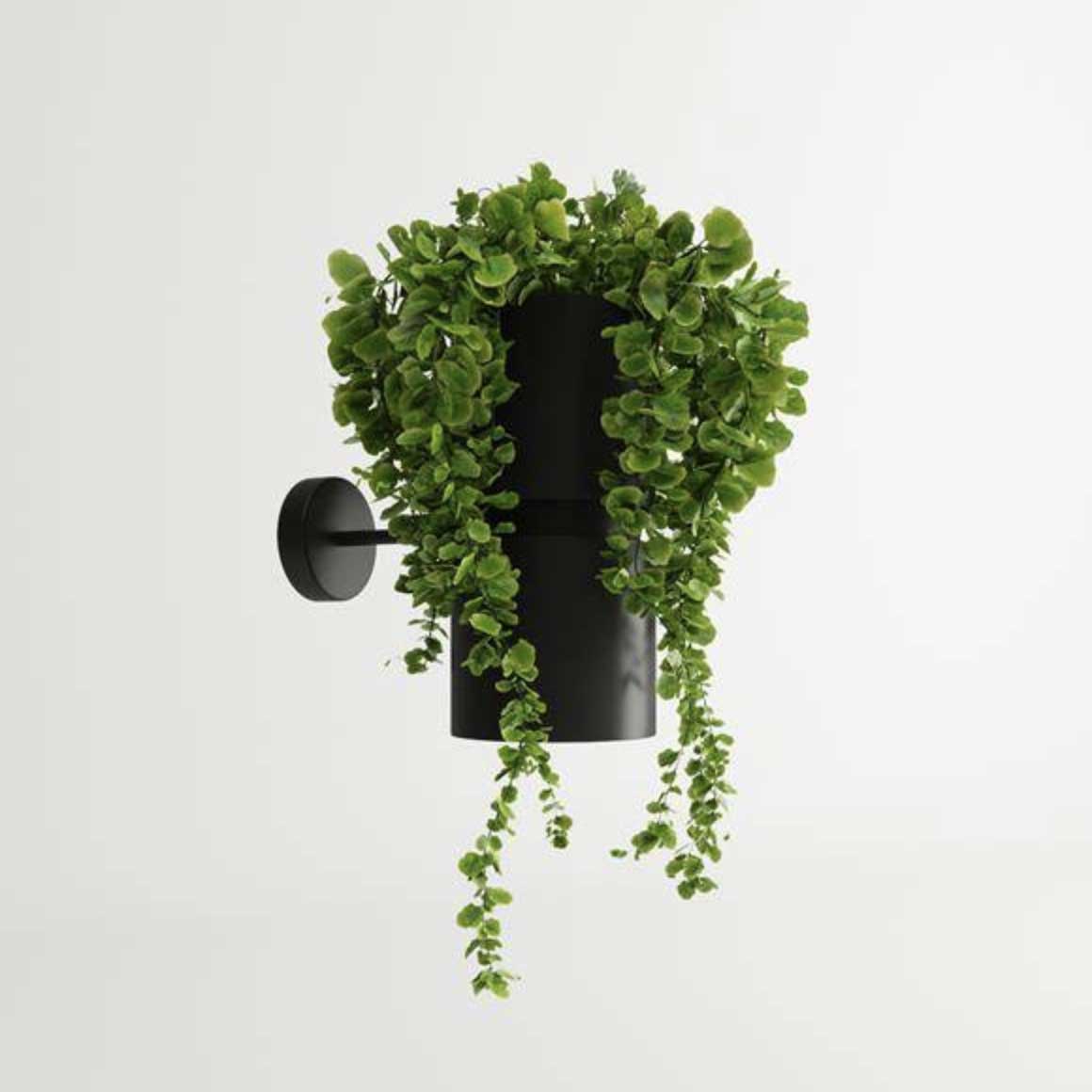 Wandleuchte für Innen zur Deko mit Pflanzen im Dschungel Look Jungle Schwarz Wandlampe für Wohnzimmer Wandlampe Schlafzimmer Wandlampe Innen Lampe kaufen Sollux Kukkia Soulbirdee Lampenshop