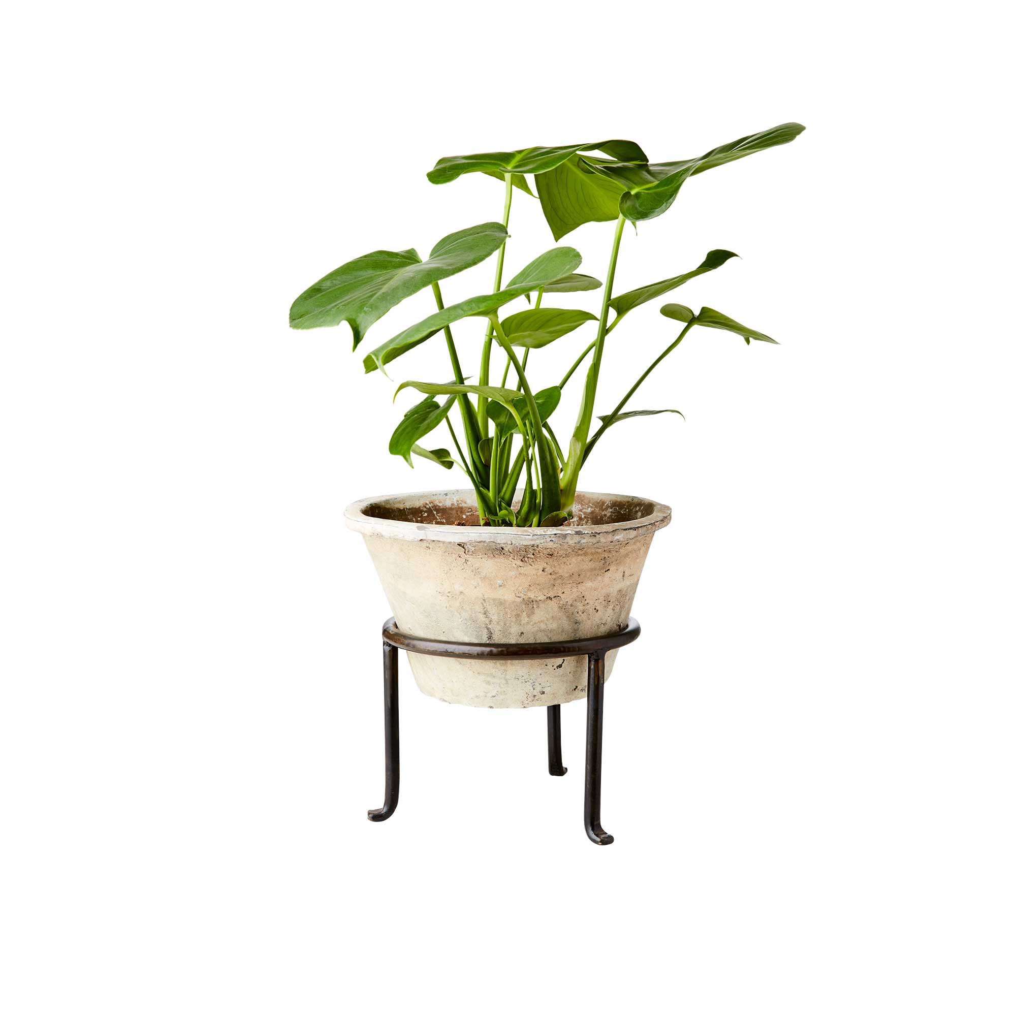 Stativ Standfuß als Untersatz für Blumentopf ✓ Deko Zubehör für das Pflanzen ✓ Tablett dekorieren