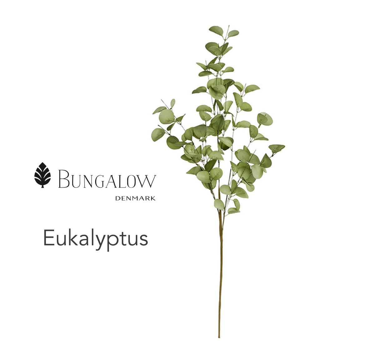 Osterdeko zweig eukalyptus