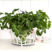 küchenDeko Korb Shabby Chic Landhausstil antik weiss soulbirdee onlineshop Deko