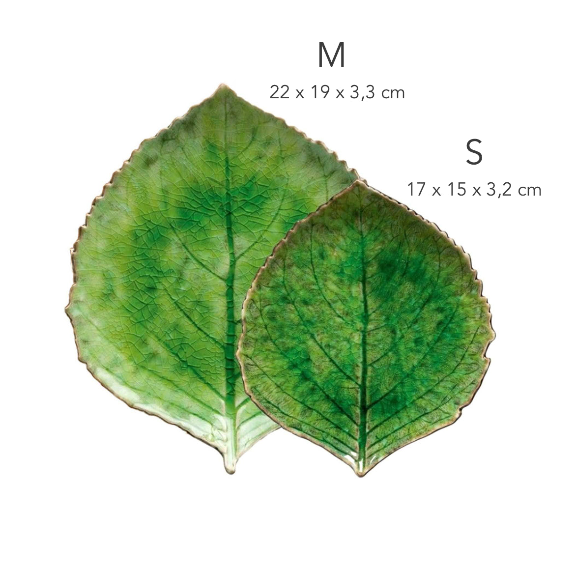 Nahaufnahme der schimmernden grünen Glasur und der feinen Blattadern der  grünen Hortensien Teller der RIVIERA Kollektion.